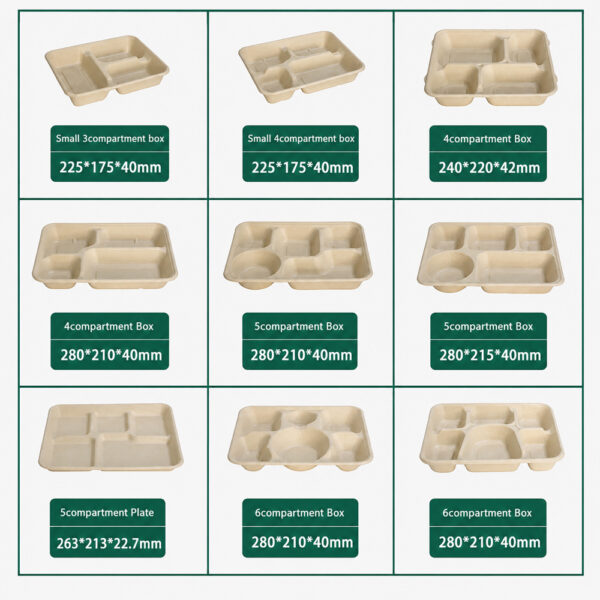 Bagasse 5-Compartment Tray for Foodservice Meals