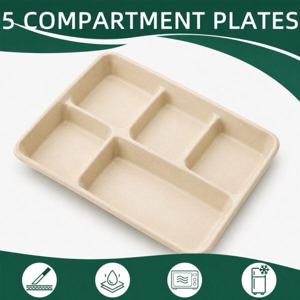 Bagasse 5-Compartment Tray for Foodservice Meals