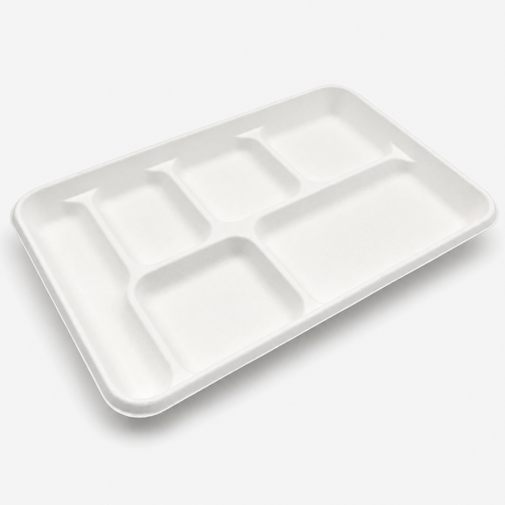 Bagasse 6-Compartment Foodservice Meal Tray