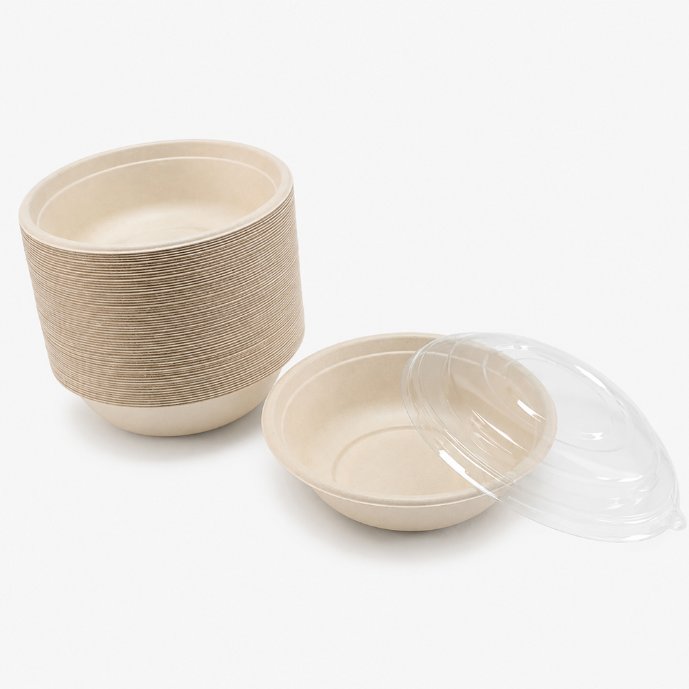 Bagasse Bowl with Clear Fitted Lid for Takeaway