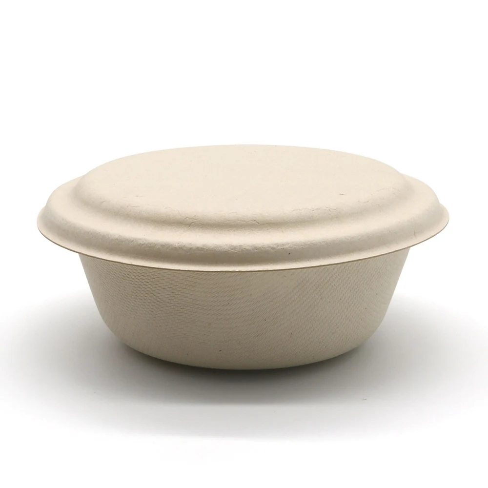 Bagasse Bowl with Lid for Takeaway Meals