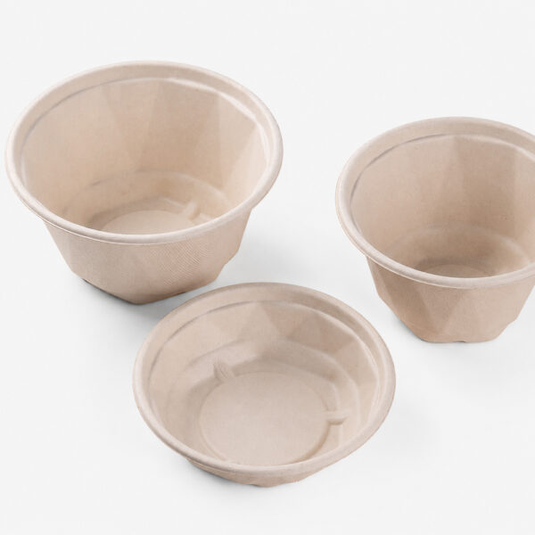 Bagasse Bowl with Separate Lid for Takeaway Meals