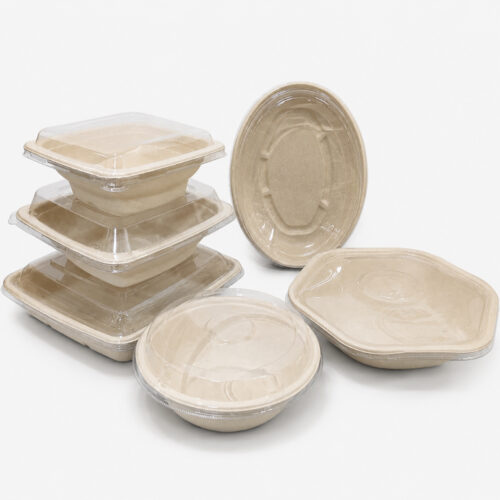 Bagasse Bowls with Clear Lids for Takeaway Meals