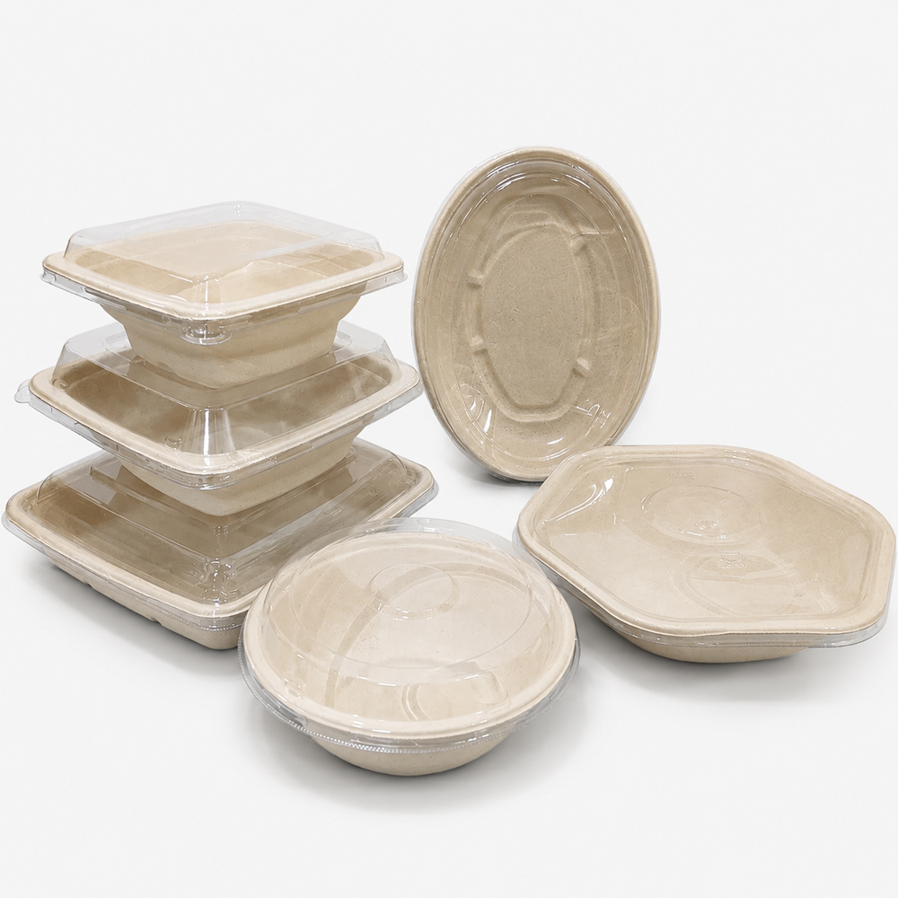 Bagasse Bowls with Clear Lids for Takeaway Meals
