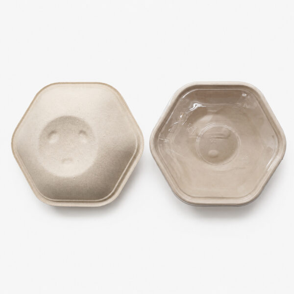 Bagasse Bowls with Clear Lids for Takeaway Meals