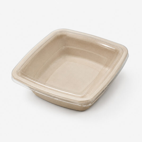 Bagasse Bowls with Clear Lids for Takeaway Meals