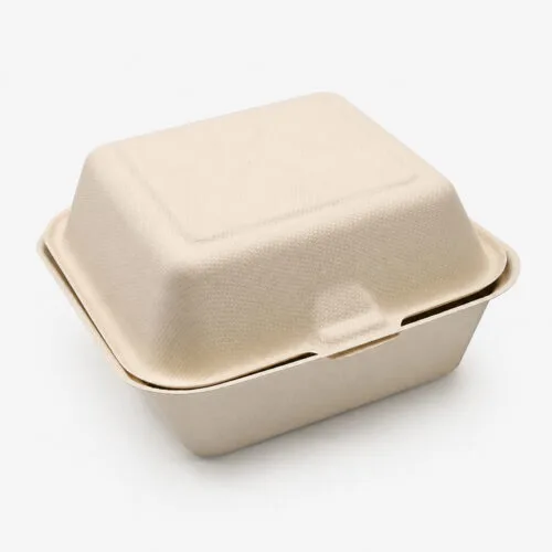 Bagasse Clamshell Takeout Box for Burger Packaging