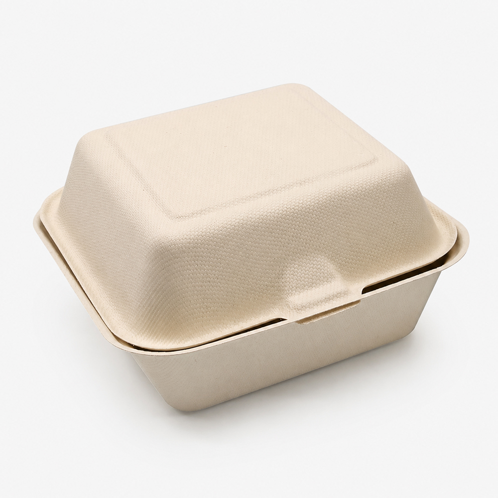 Bagasse Clamshell Takeout Box for Burger Packaging