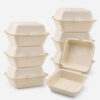 Bagasse Clamshell Takeout Box for Burger Packaging