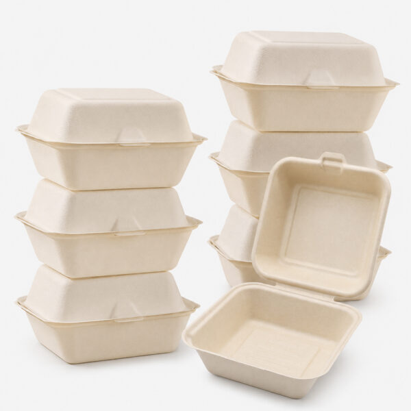 Bagasse Clamshell Takeout Box for Burger Packaging