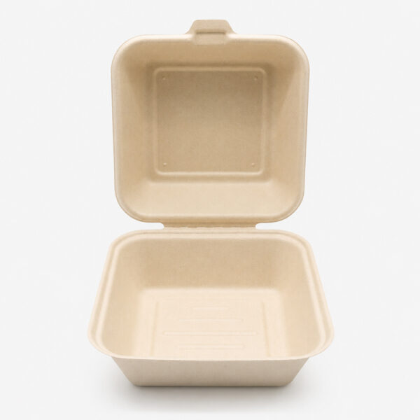 Bagasse Clamshell Takeout Box for Burger Packaging