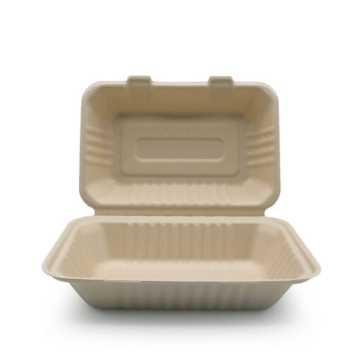 Bagasse Clamshell Takeout Box for Food Packaging Bagasse Clamshell Takeout Box for Food Packaging