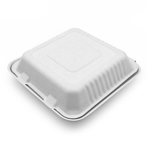 Bagasse Clamshell Takeout Box with Compartments