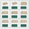 Bagasse Compartment Tray with Lid Options