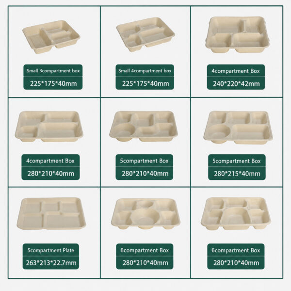 Bagasse Compartment Tray with Lid Options