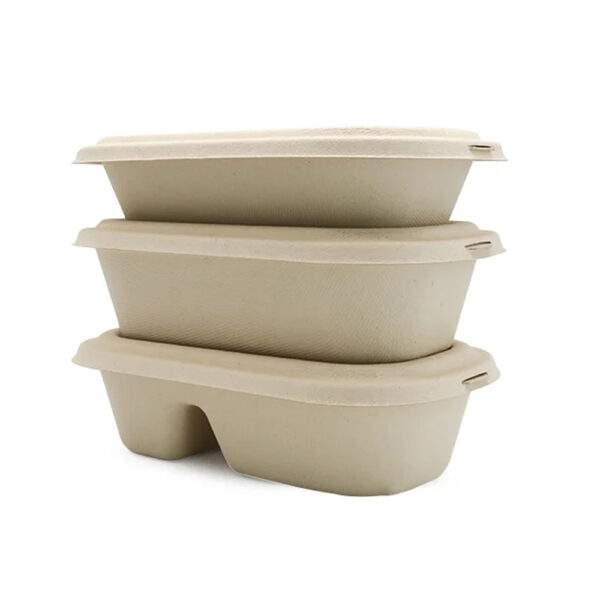 Bagasse Food Container with Separate Lid