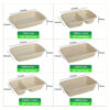 Bagasse Food Container with Separate Lid Option