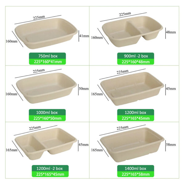 Bagasse Food Container with Separate Lid Option