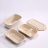 Bagasse Food Container with Separate Lid for Meals
