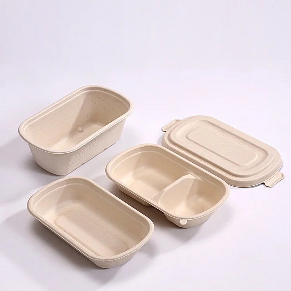 Bagasse Food Container with Separate Lid for Meals