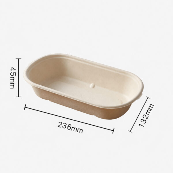 Bagasse Food Container with Separate Lid for Meals
