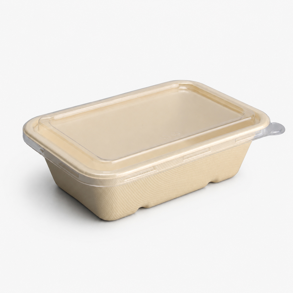 Bagasse Food Containers with Clear Lid Options
