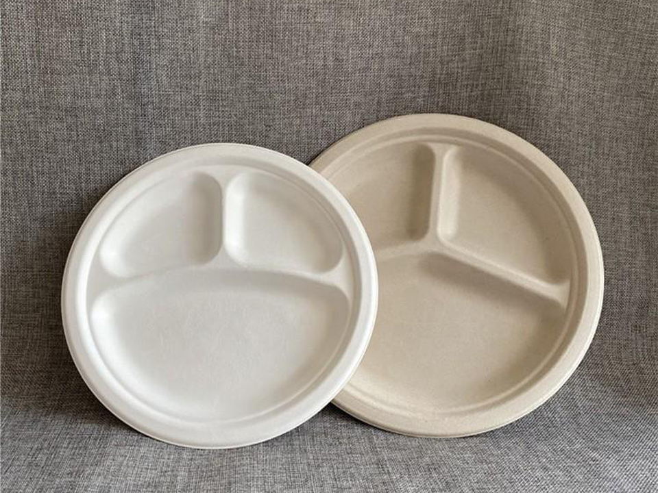 Bagasse Plate Materials, Coatings and Food-Contact Safety Guide