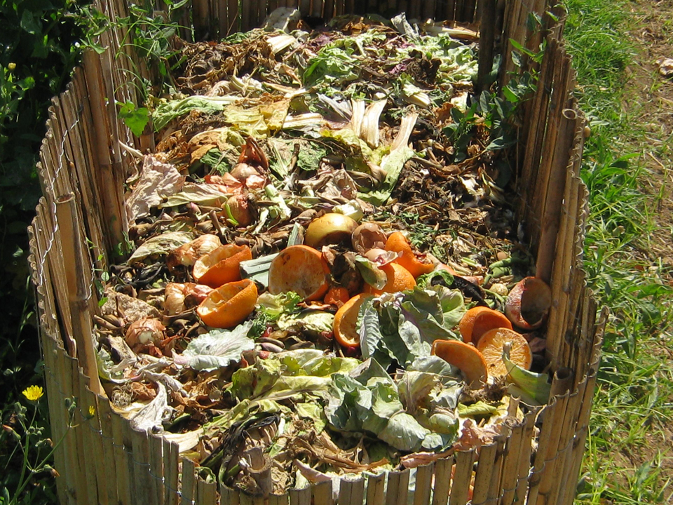 Bagasse Plate Materials, Coatings and Food-Contact Safety Guide