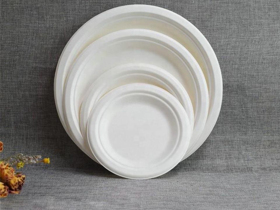 Bagasse Plates Performance Waterproof, Greaseproof and Heat Limits