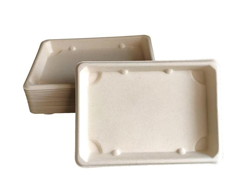Bagasse Plates Performance Waterproof, Greaseproof and Heat Limits
