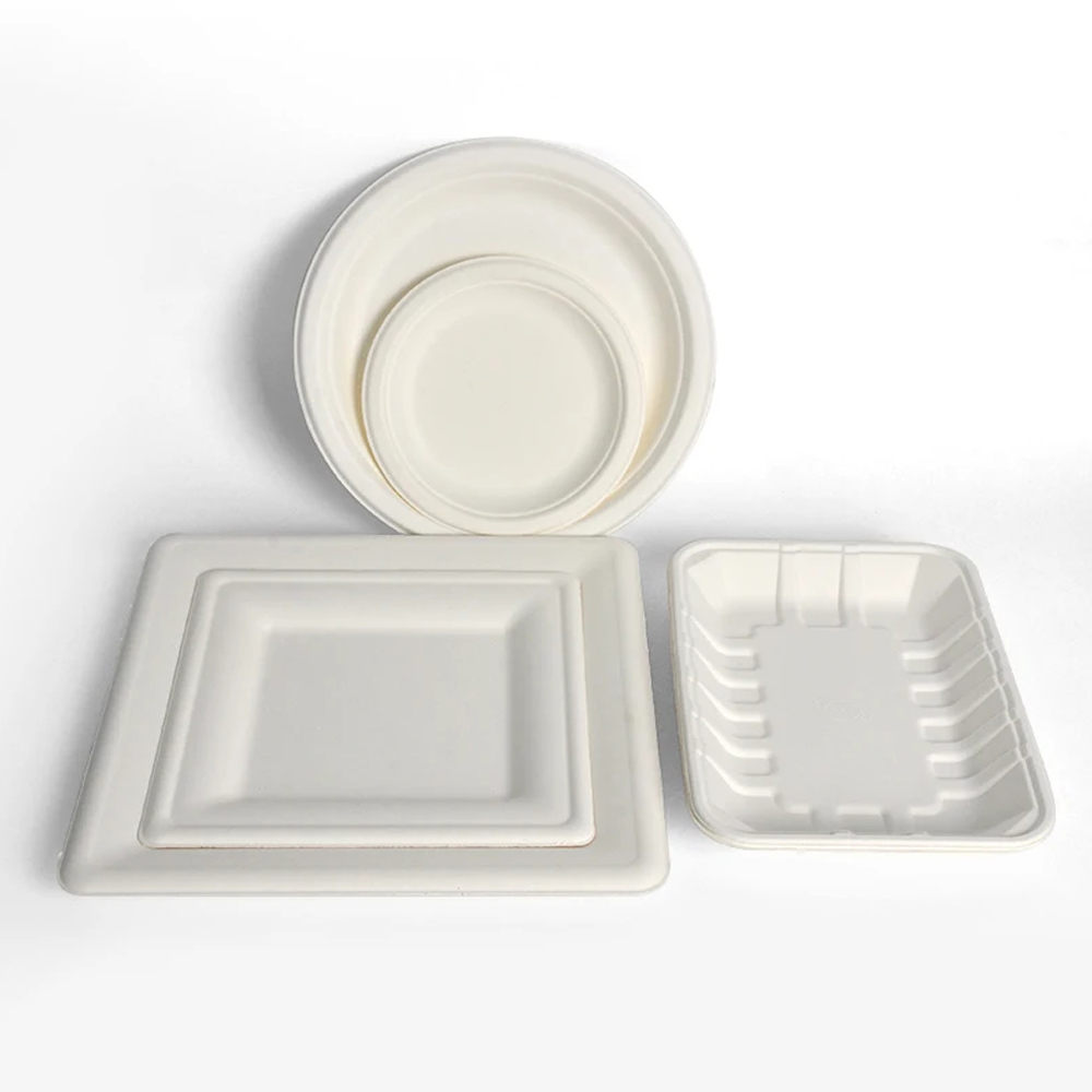 Bagasse Plates in Round and Square Shapes for Catering