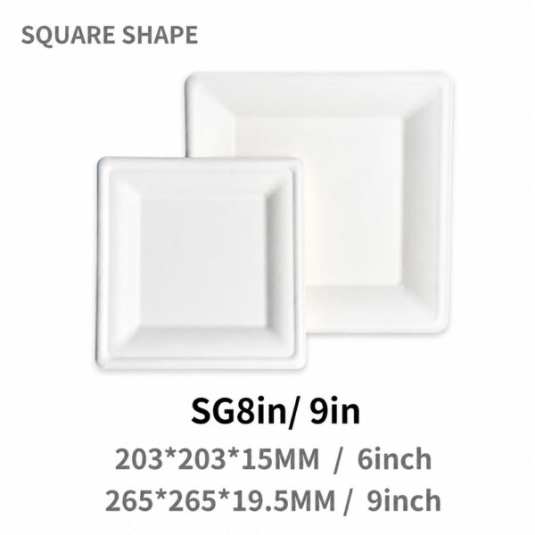 Bagasse Plates in Round and Square Shapes for Catering