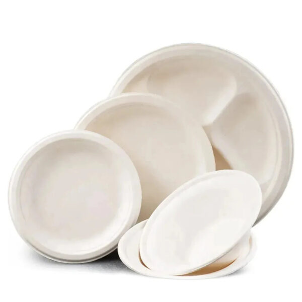 Bagasse Round Plates for Catering Foodservice Use
