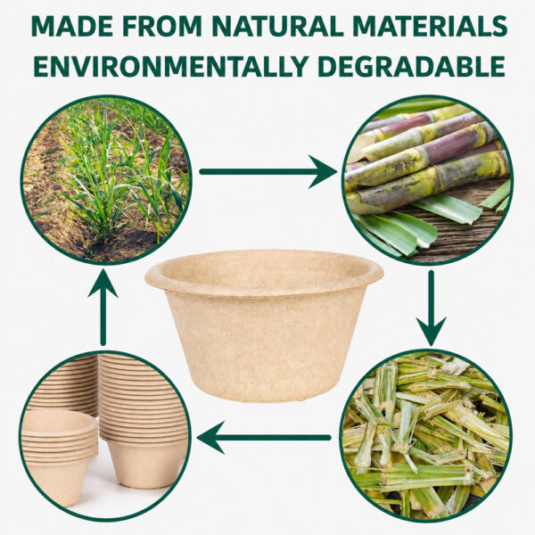 Bagasse Sauce Cup for Condiments and Dips