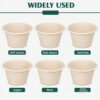 Bagasse Sauce Cup with PET and Fiber Lid Options