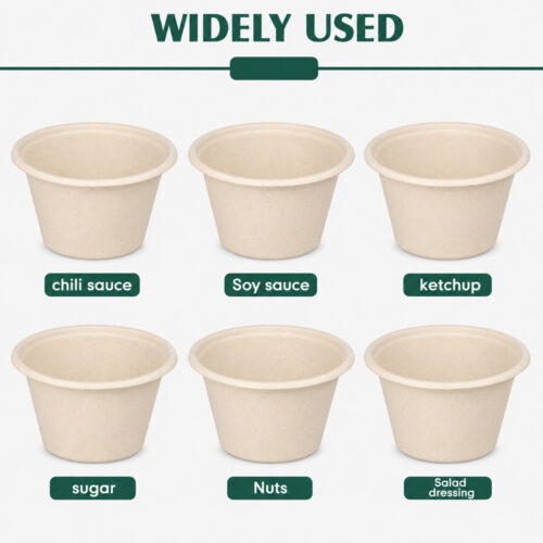 Bagasse Sauce Cup with PET and Fiber Lid Options