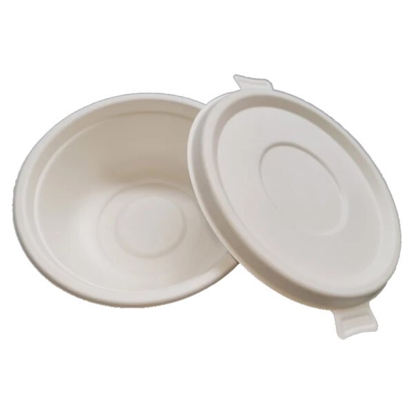Bagasse-Style Bowl with Fitted Lid for Takeaway