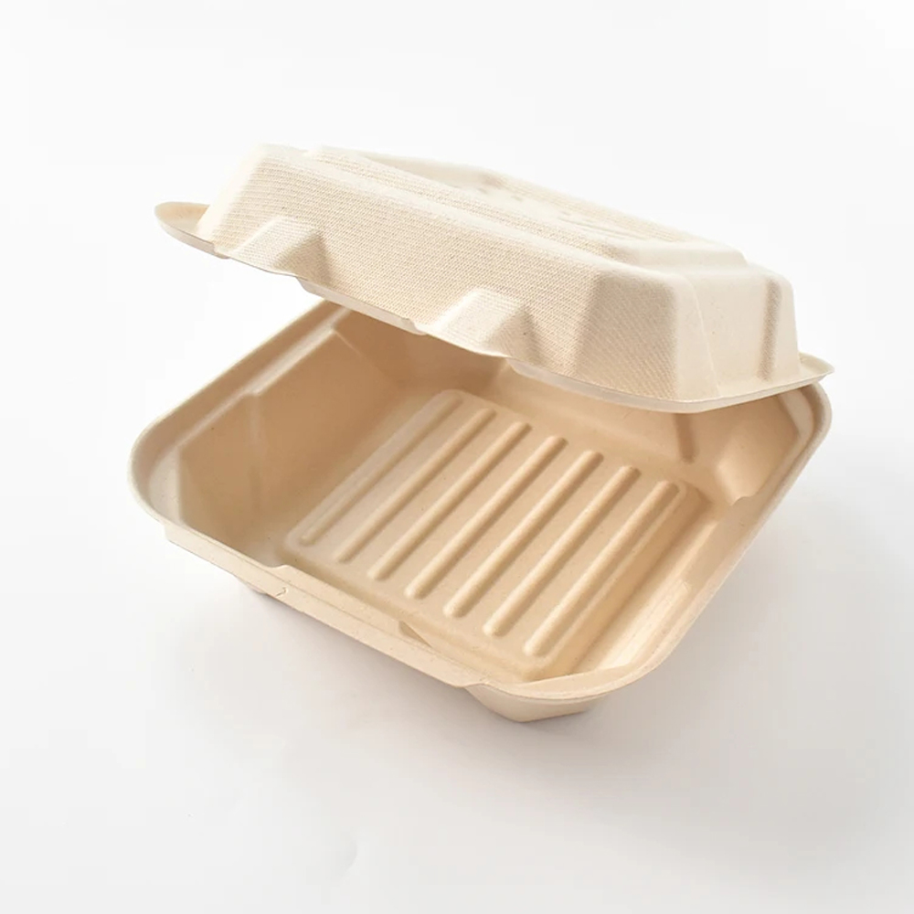 Bagasse-Style Clamshell Box with Hinged Lid