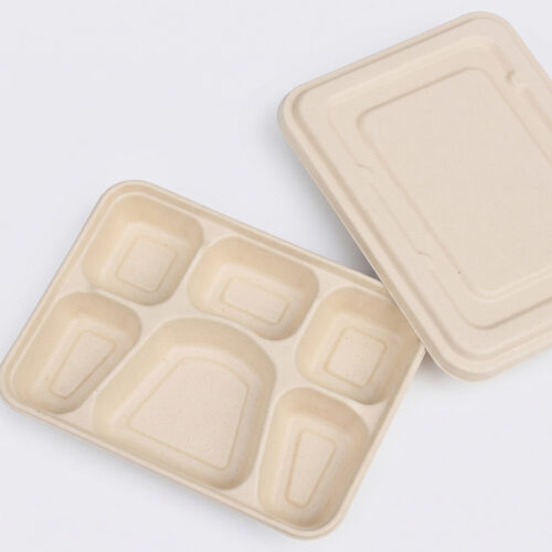 Bagasse-Style Compartment Food Container with Lid