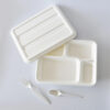 Divided Bagasse-Style Lunch Tray with Lid