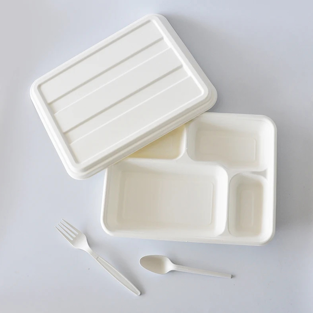 Divided Bagasse-Style Lunch Tray with Lid
