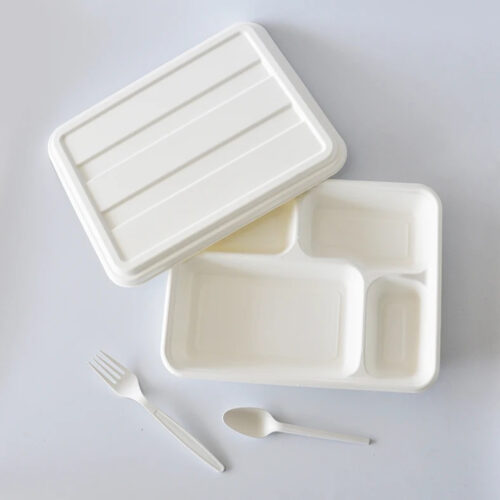 Bagasse-Style Compartment Tray with Separate Lid