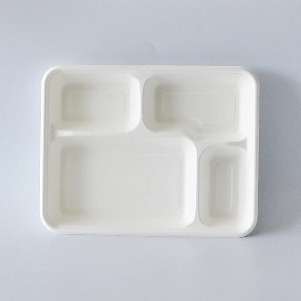 Divided Bagasse-Style Lunch Tray with Lid
