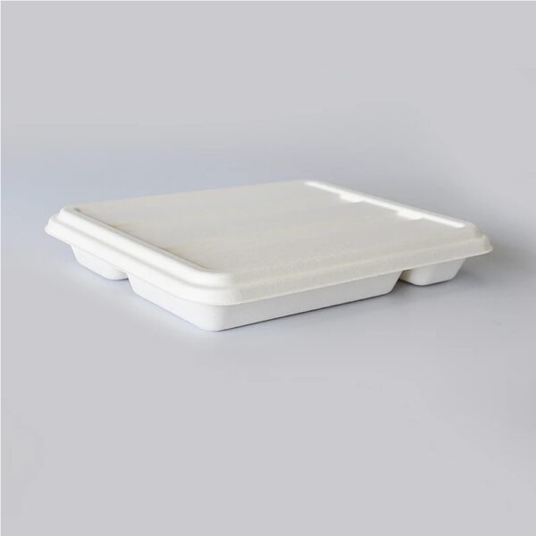 Bagasse-Style Compartment Tray with Separate Lid