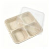 Bagasse-Style Food Container with Clear Lid
