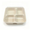 Bagasse-Style Food Container with Clear Lid