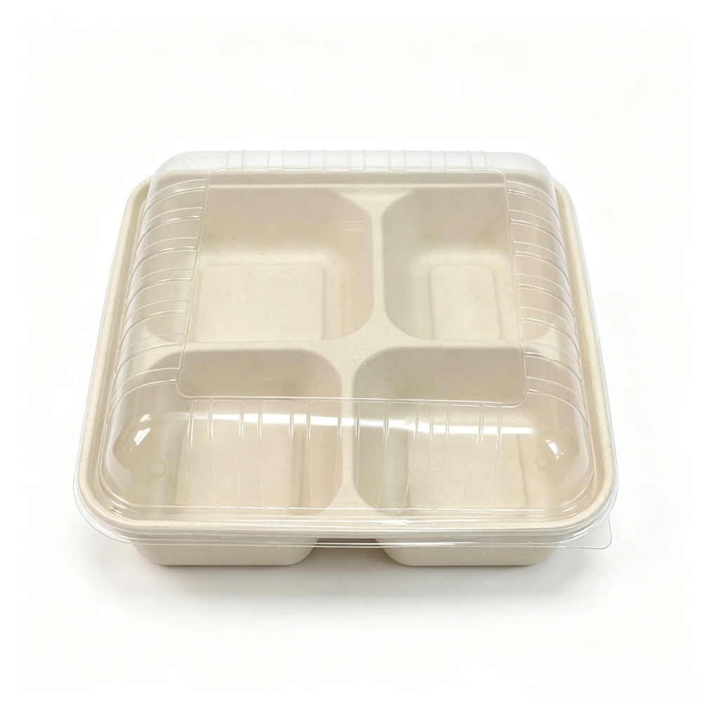 Bagasse-Style Food Container with Clear Lid
