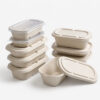 Bagasse-Style Food Container with Separate Lid