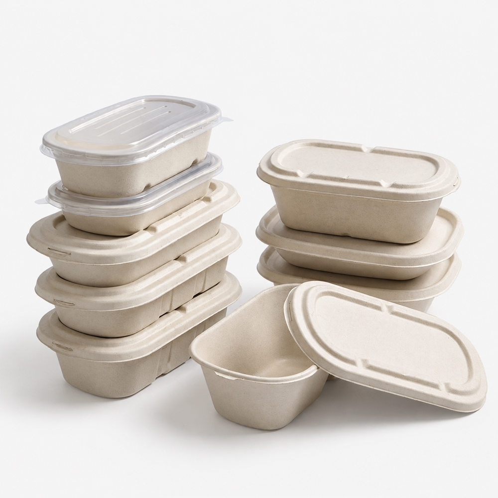 Bagasse-Style Food Container with Separate Lid