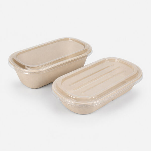 Bagasse-Style Food Container with Separate Lid